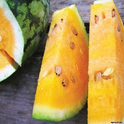 25 of the Sweetest, Juiciest Watermelon Varieties You Can Grow