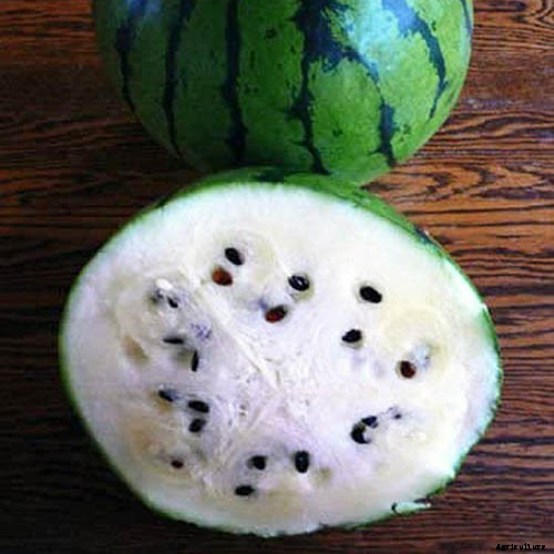 25 of the Sweetest, Juiciest Watermelon Varieties You Can Grow