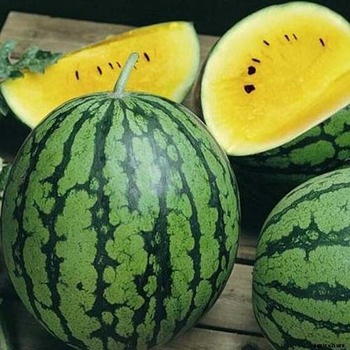 25 of the Sweetest, Juiciest Watermelon Varieties You Can Grow