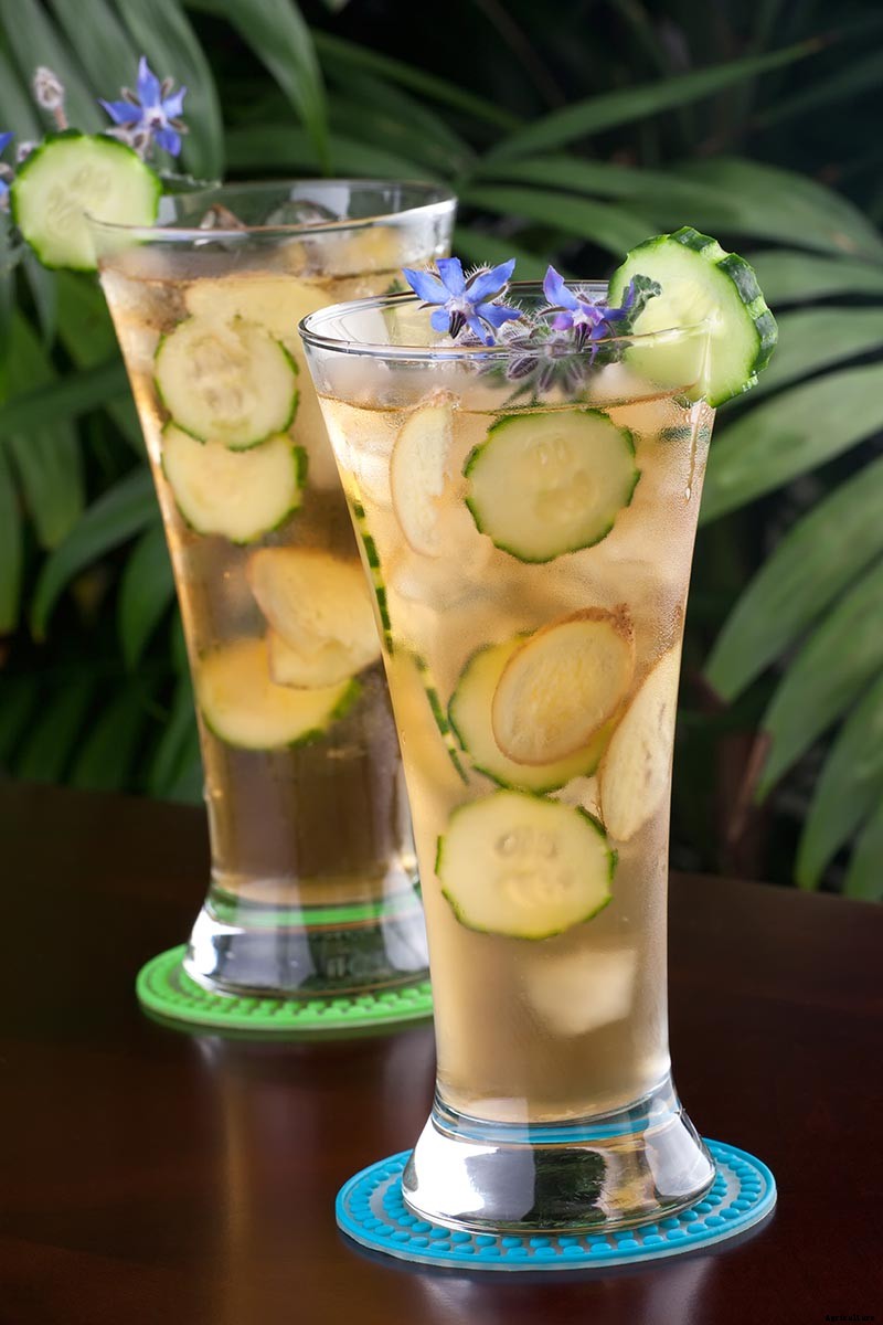 How to Grow and Care for Borage Plants