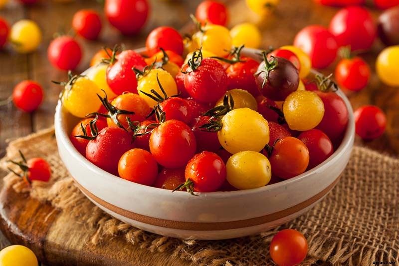 How to Grow Cherry Tomatoes