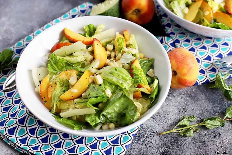 How to Grow and Care for Spearmint Plants