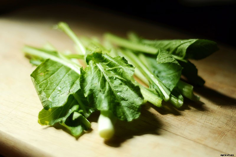 Health Benefits of Mustard Greens