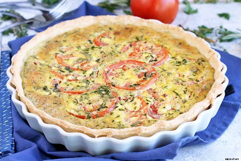 The Best Companion Plants to Grow with Pumpkins