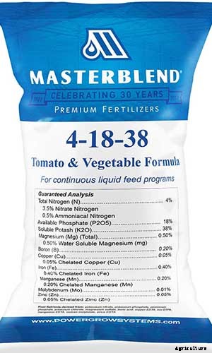 How to Grow Your Own Pumpkins