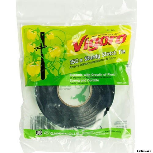 Train Those Melons on a Trellis: How to Grow Cantaloupe Vertically