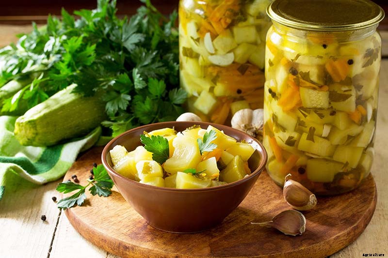 How to Grow Golden Zucchini