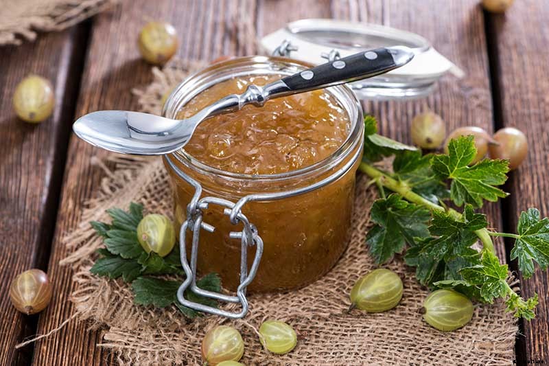 How and When to Harvest Gooseberries