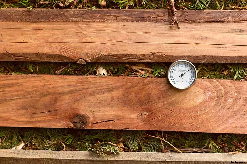 How and When to Compost Tomato Plants