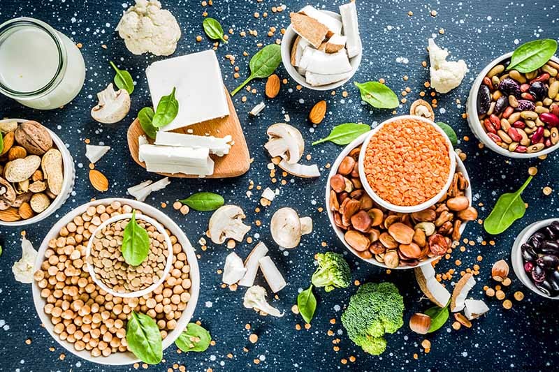 Plant-Based Protein: The Best Protein-Packed Plants to Grow in the Garden