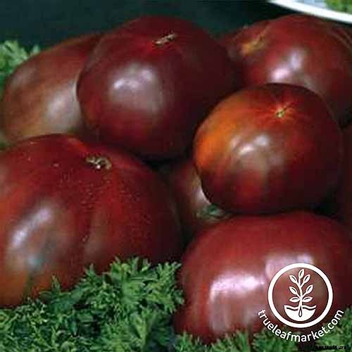 21 of the Best Heirloom Tomato Varieties for the Garden