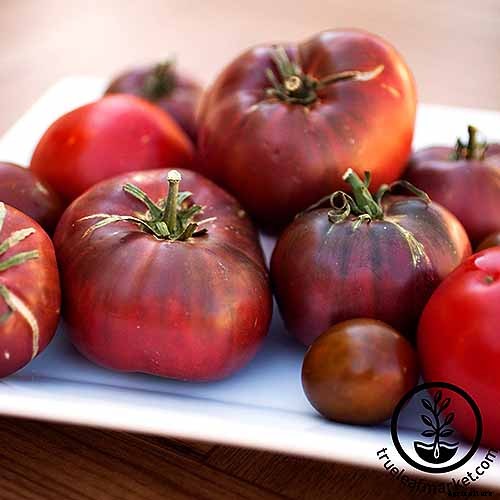 21 of the Best Heirloom Tomato Varieties for the Garden