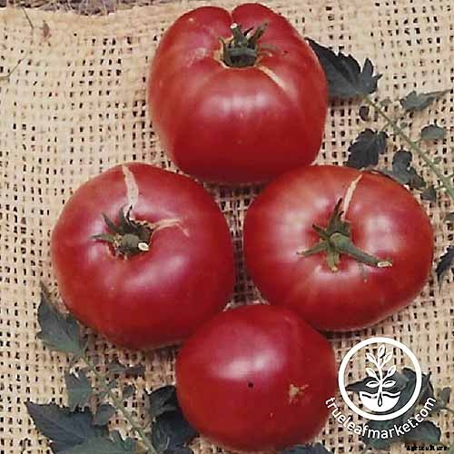 21 of the Best Heirloom Tomato Varieties for the Garden