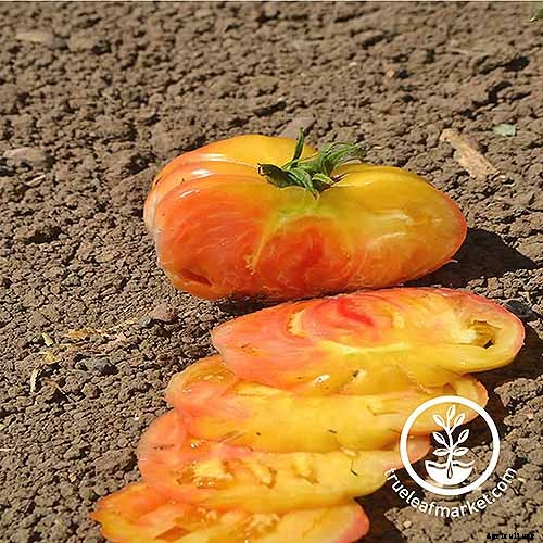 21 of the Best Heirloom Tomato Varieties for the Garden