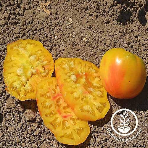 21 of the Best Heirloom Tomato Varieties for the Garden