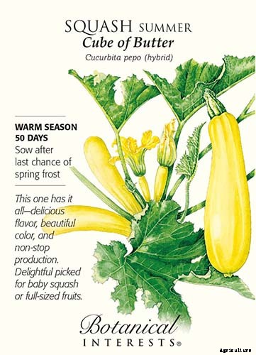 21 of the Best Summer Squash Varieties for Your Garden
