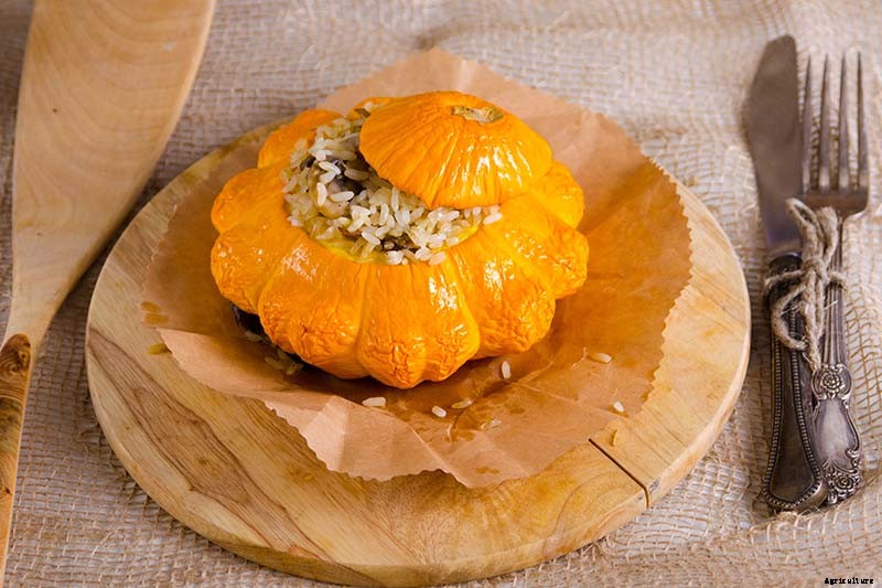 21 of the Best Summer Squash Varieties for Your Garden