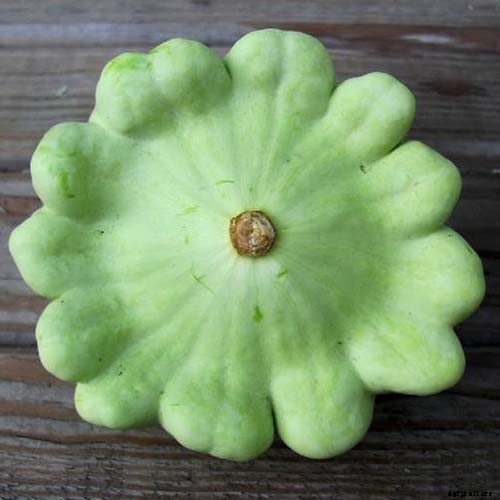 21 of the Best Summer Squash Varieties for Your Garden