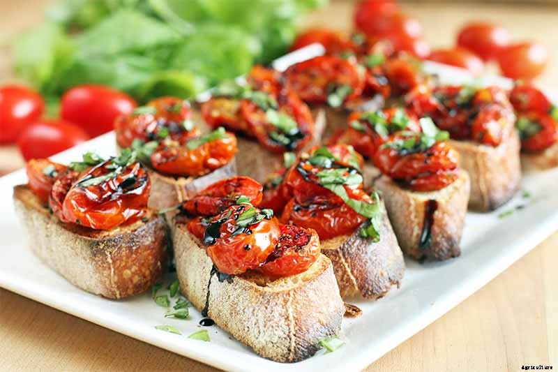 How to Grow and Care for Tomatoes in Your Garden