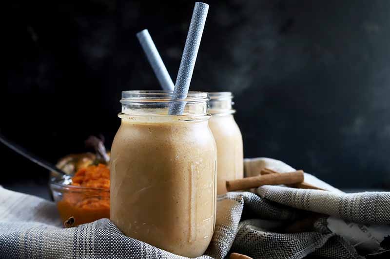 11 of the Best Pumpkins to Grow for Pies, Puree, and Other Treats