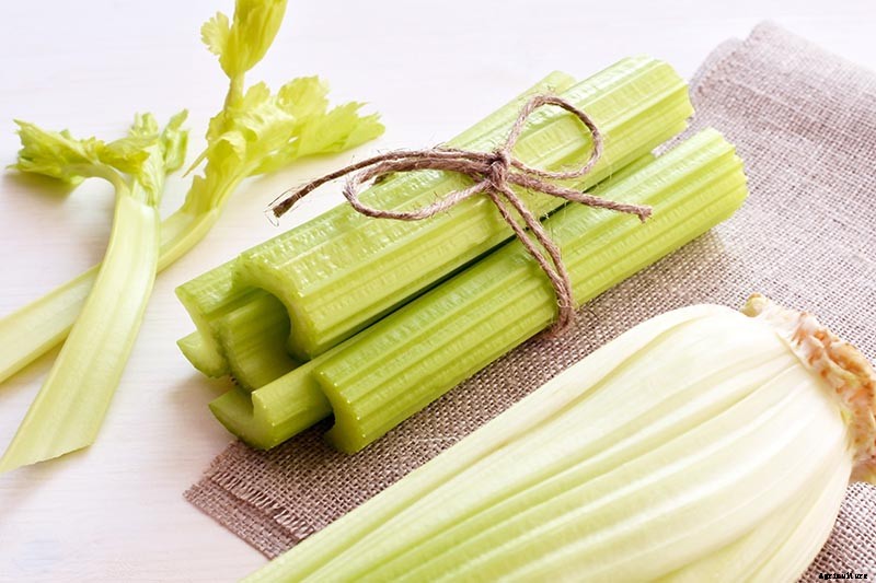 How to Blanch Celery in the Garden (And Why You Should!)