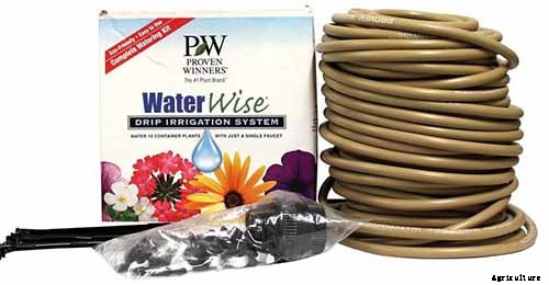 How to Grow Herbs in Containers