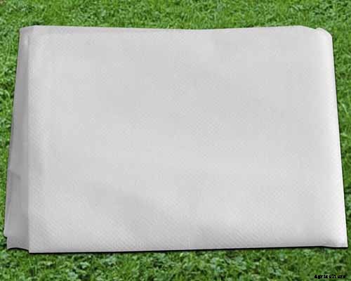 How to Grow Herbs in Containers