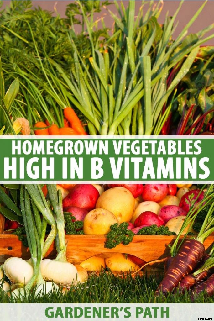 Get Your Daily Dose of B Vitamins with These Homegrown Vegetables