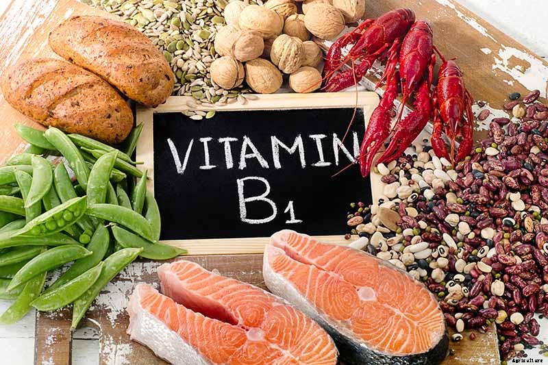 Get Your Daily Dose of B Vitamins with These Homegrown Vegetables