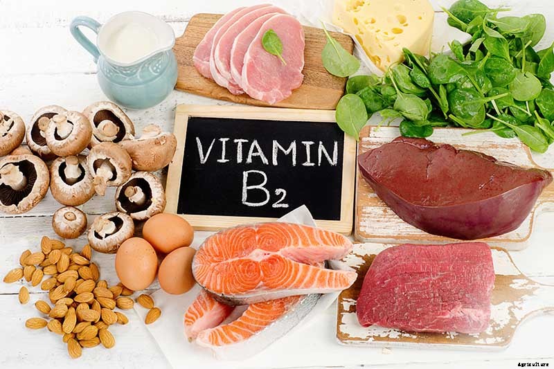 Get Your Daily Dose of B Vitamins with These Homegrown Vegetables