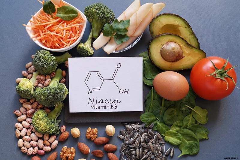 Get Your Daily Dose of B Vitamins with These Homegrown Vegetables