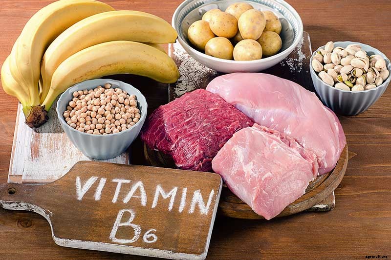 Get Your Daily Dose of B Vitamins with These Homegrown Vegetables