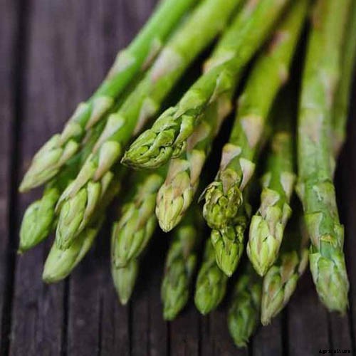 Get Your Daily Dose of B Vitamins with These Homegrown Vegetables