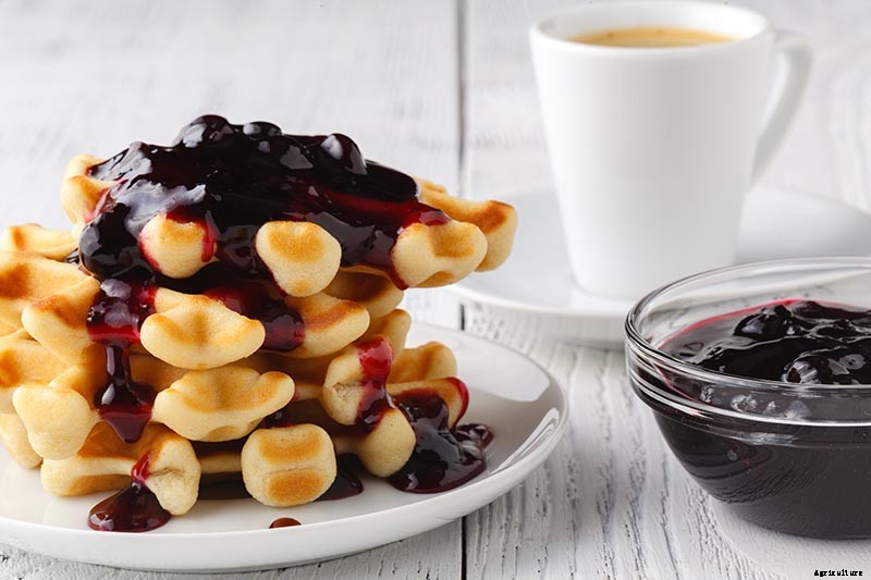 The Benefits of Boysenberry: Why You Need this Brambly Hybrid in Your Life