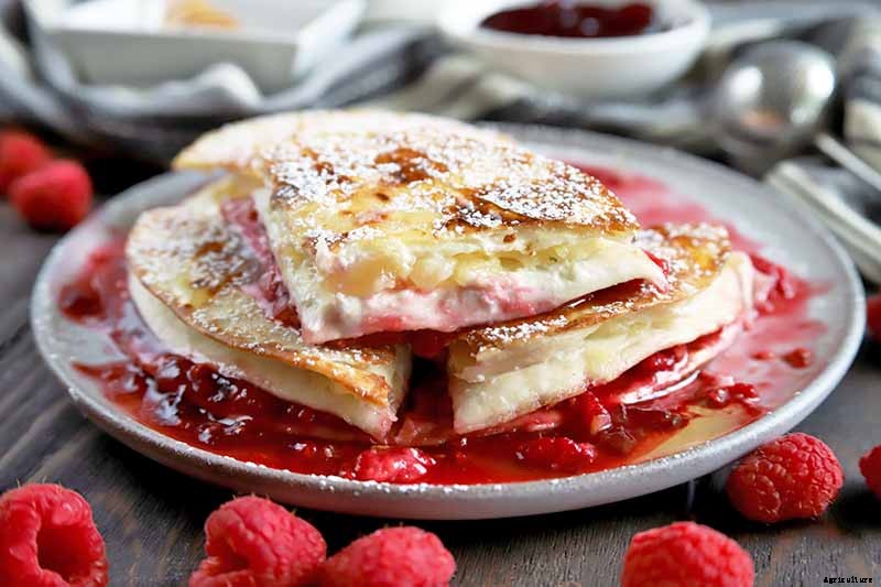 The Benefits of Boysenberry: Why You Need this Brambly Hybrid in Your Life