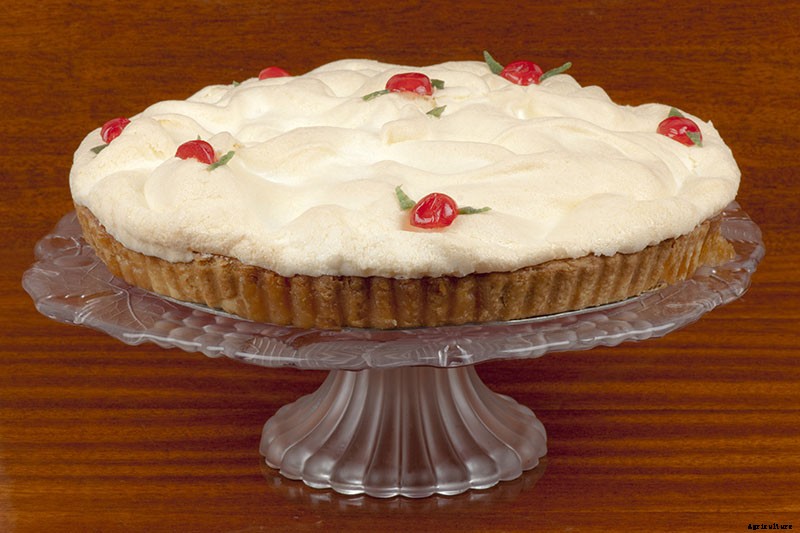 How to Harvest Angelica