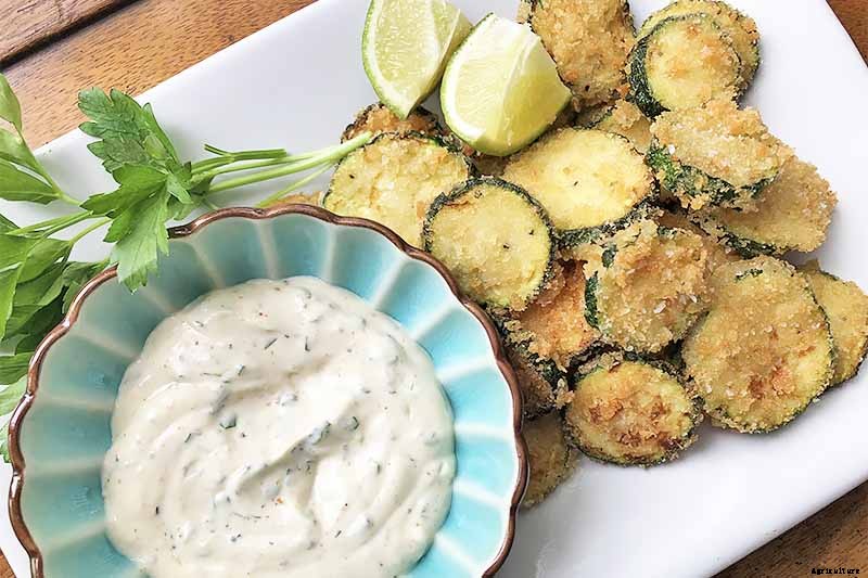 How to Plant and Grow Zucchini