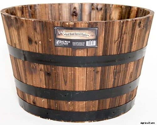 How to Grow Cantaloupe in Containers