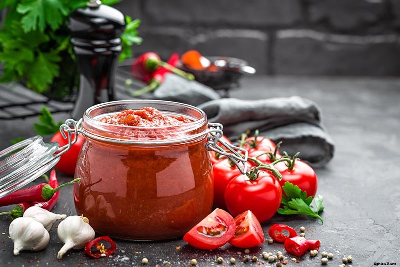 The Top 10 Reasons to Love Tomatoes and Add More to Your Diet