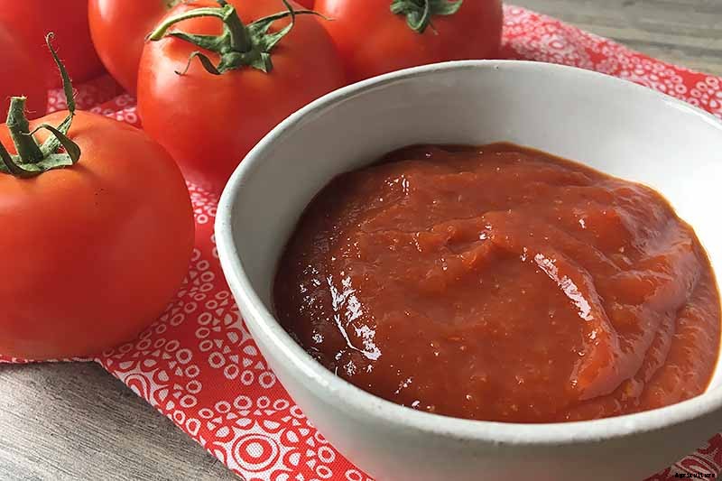 The Top 10 Reasons to Love Tomatoes and Add More to Your Diet