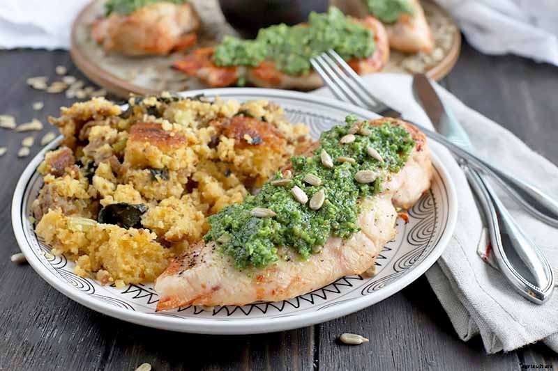 How to Grow Sunflowers: a Beautiful and Tasty Addition to Your Landscape