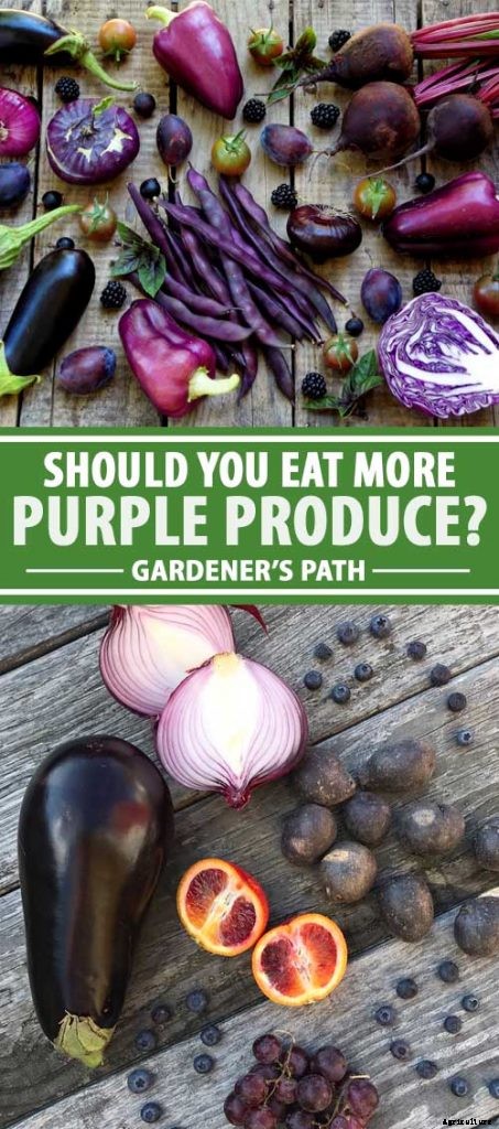 Healthy Purple Produce: Should You Eat More Purple Fruits and Vegetables?