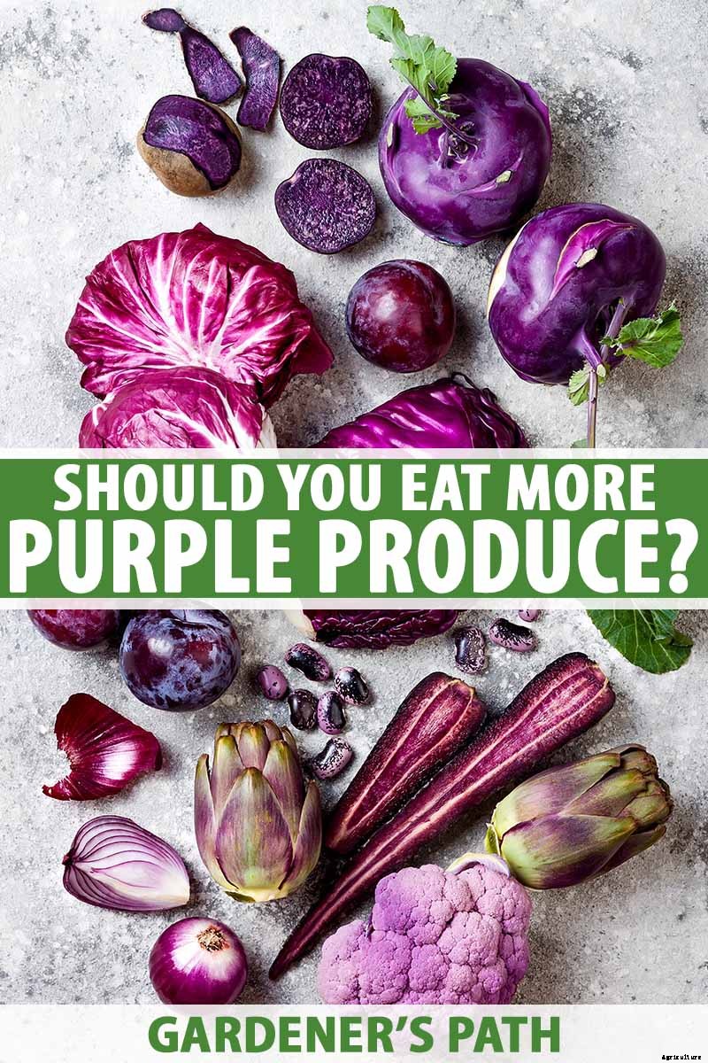 Healthy Purple Produce: Should You Eat More Purple Fruits and Vegetables?