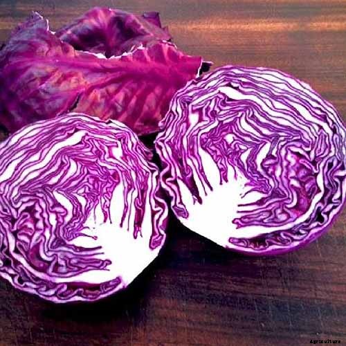 Healthy Purple Produce: Should You Eat More Purple Fruits and Vegetables?