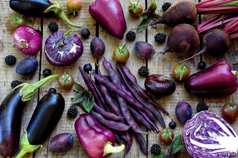 Healthy Purple Produce: Should You Eat More Purple Fruits and Vegetables?