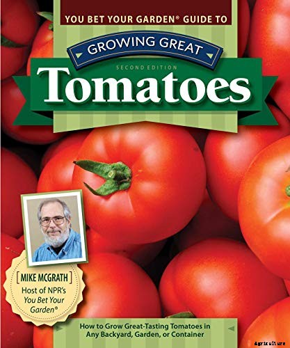 How to Plant and Grow Tomatoes in Clay Soil
