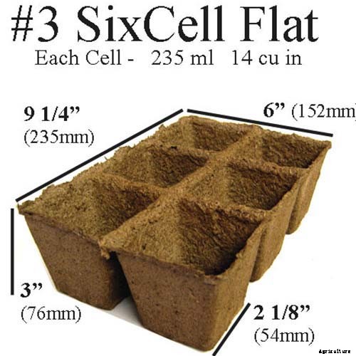 How to Plant and Grow Ghost Peppers