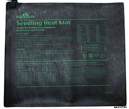 How to Plant and Grow Ghost Peppers