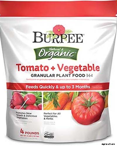 How to Plant and Grow Ghost Peppers