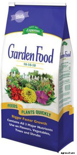 How and When to Fertilize Elderberry Shrubs